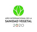 IYPH2020_Logo_Vertical__ES
