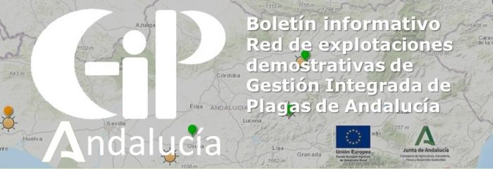 NEWSLETTER_GIP2