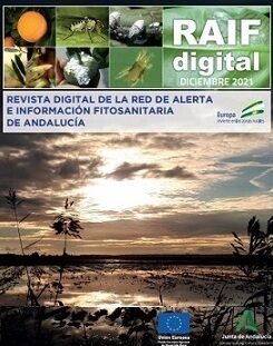 newsleter_revistadigital_Dic21_02