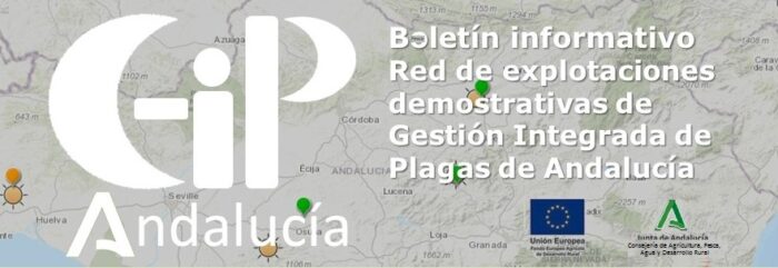 NEWSLETTER_GIP2022