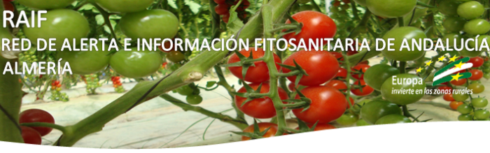 portada almeria