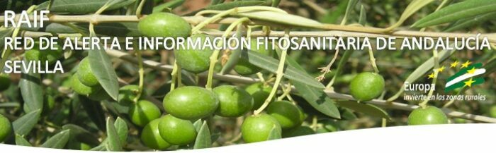 Sin título