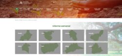FOTO NEWSLEWTTER