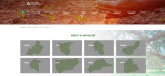FOTO NEWSLEWTTER