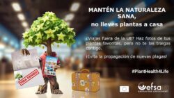 newsletter_s30