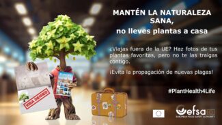 newsletter_s30
