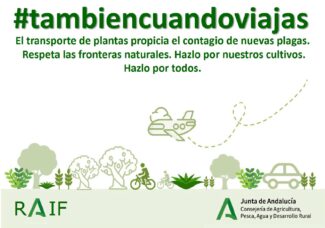 También cuando viajas
