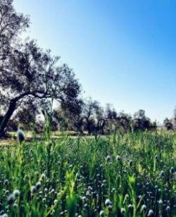 newsletter_s34