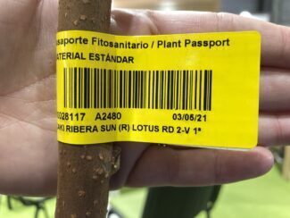 pasaportefitosinitario
