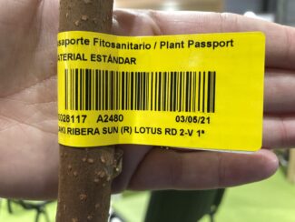 pasaportefitosinitario