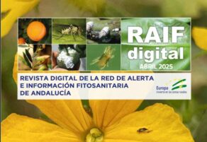 cabecero newsletter_2025_s18