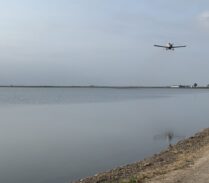 Siembra de arroz avión (1)