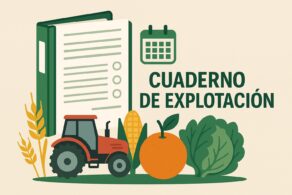 newsleter_2025_26